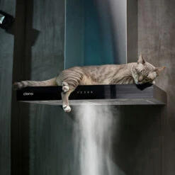 CIARRA 4 Speeds Class A++ 650m3/h Touch Control Chimney Cooker Hood 60cm -CBCS6102 8 CIARRA 4 Speeds Class A++ 650m3/h Touch Control Chimney Cooker Hood 60cm -CBCS6102 -Home Chef Shop 36409475 4