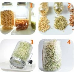 4 Stainless Steel Home Germination Jar Lids For Large Mouth Mason Jars -Home Chef Shop 68107579 4